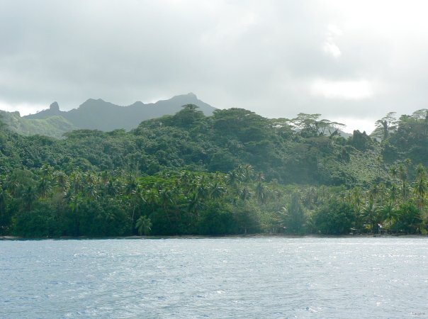 30- La cote de Tahaa 